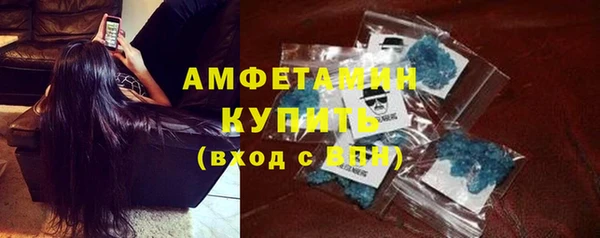 молекула духа Няндома