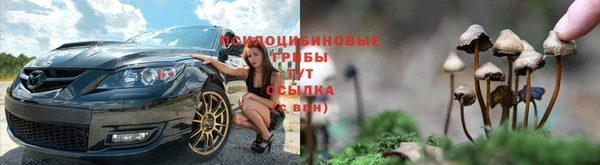 герыч Бородино
