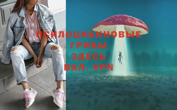 не бодяженный Бронницы