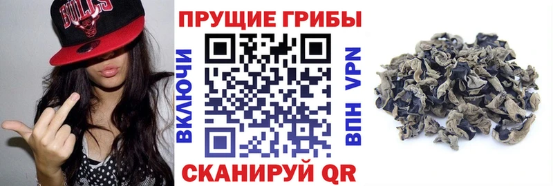Галлюциногенные грибы ЛСД  купить наркотики сайты  Орехово-Зуево 
